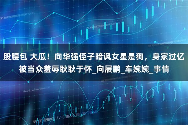 股腰包 大瓜!向华强侄子暗讽女星是狗,身家过亿被当众羞辱耿耿于怀_向展鹏_车婉婉_事情